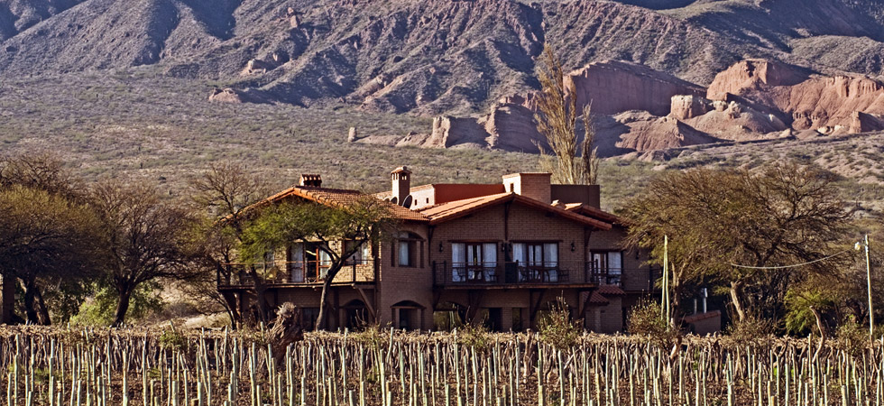 La Casa de la Bodega