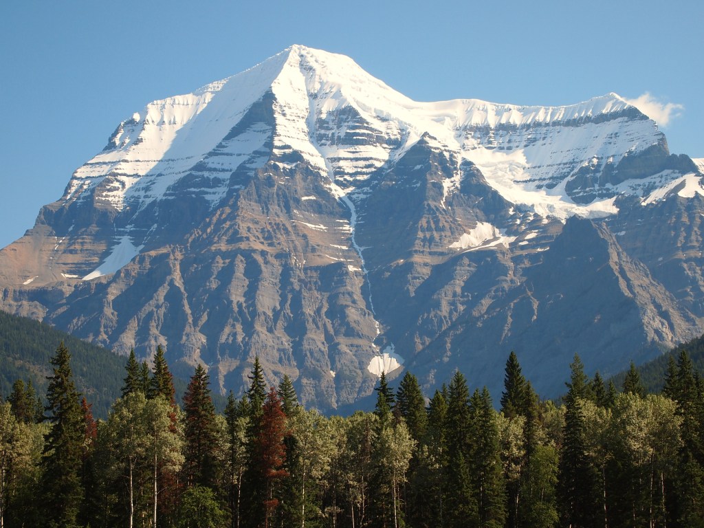 Monte Robson