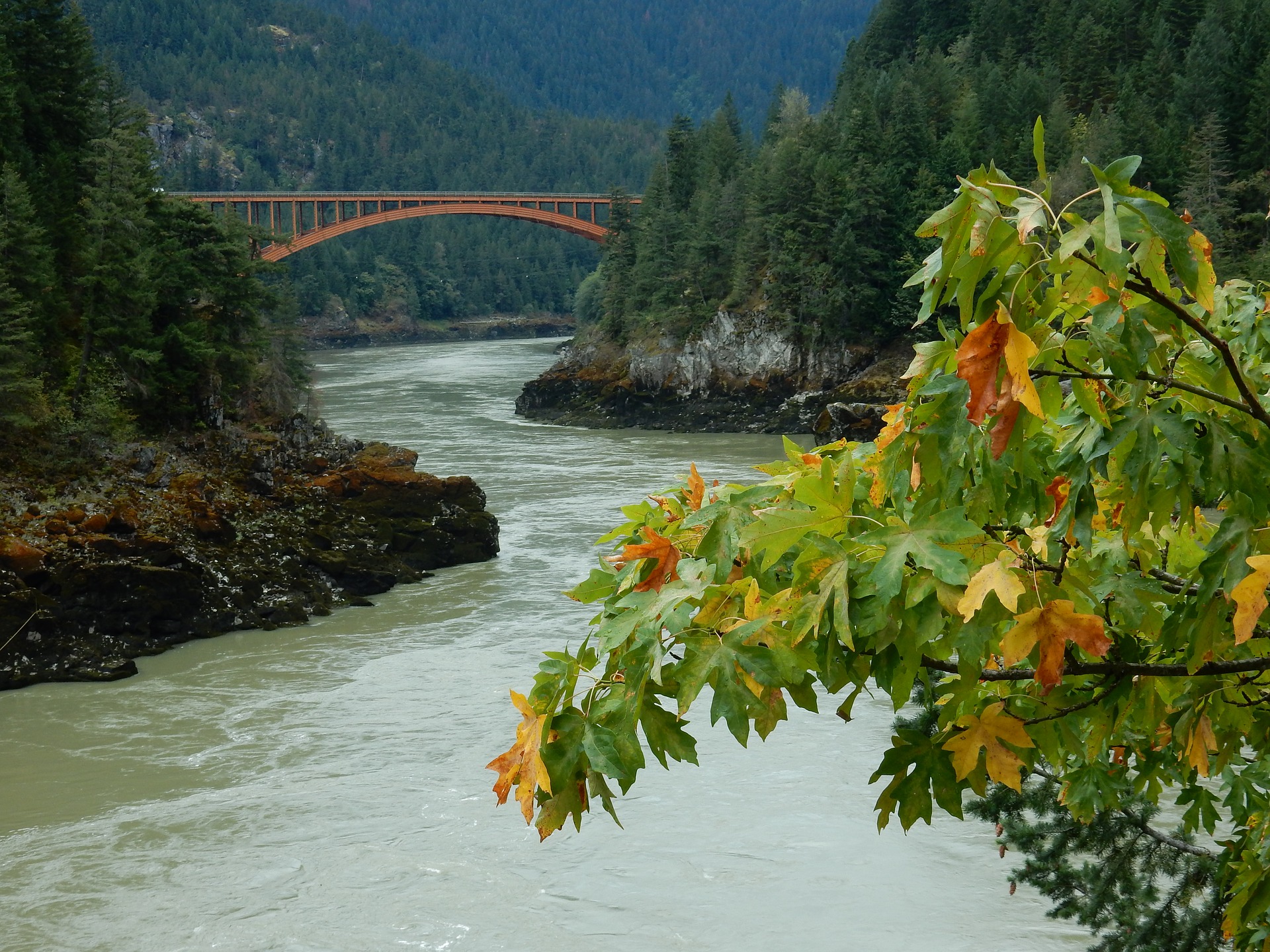 Rio Fraser
