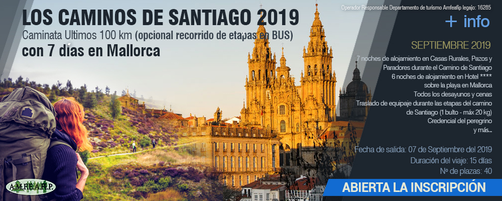 Caminos de Santiago 2019